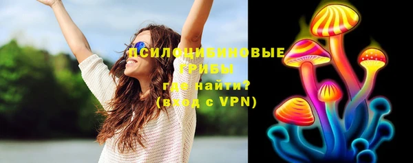трава Нязепетровск