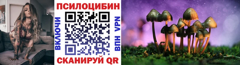 blacksprut ссылка  где продают   Светлогорск  Псилоцибиновые грибы Magic Shrooms 